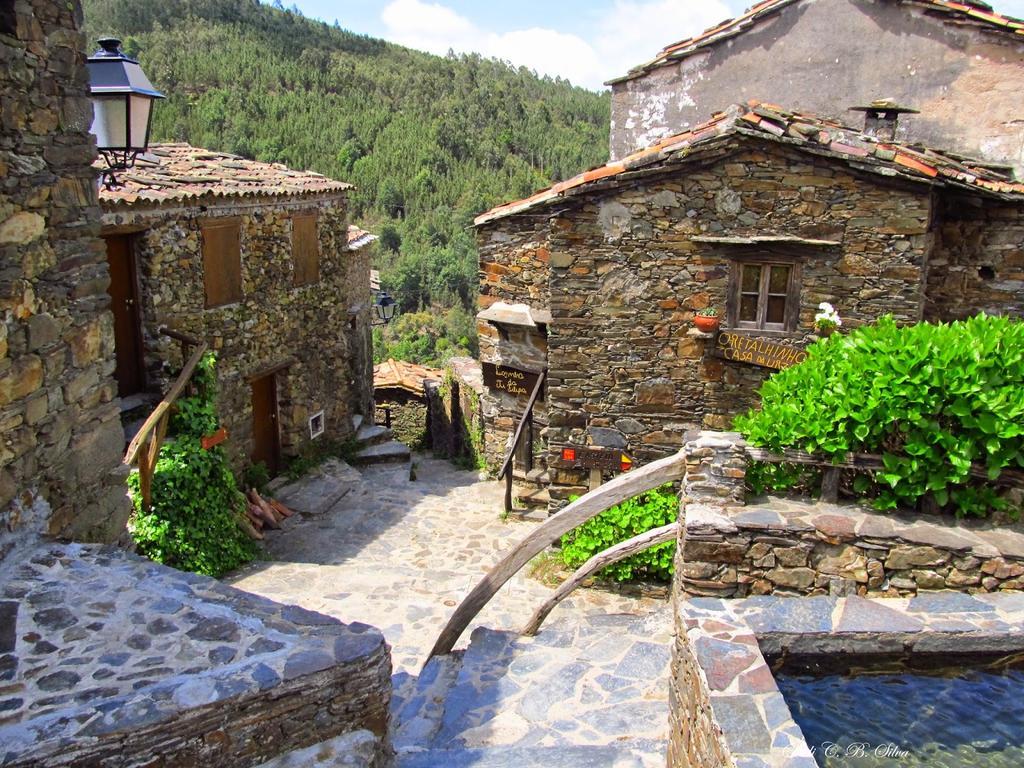 Vivenda Pirilampo Villa Vila Nova de Poiares Dış mekan fotoğraf