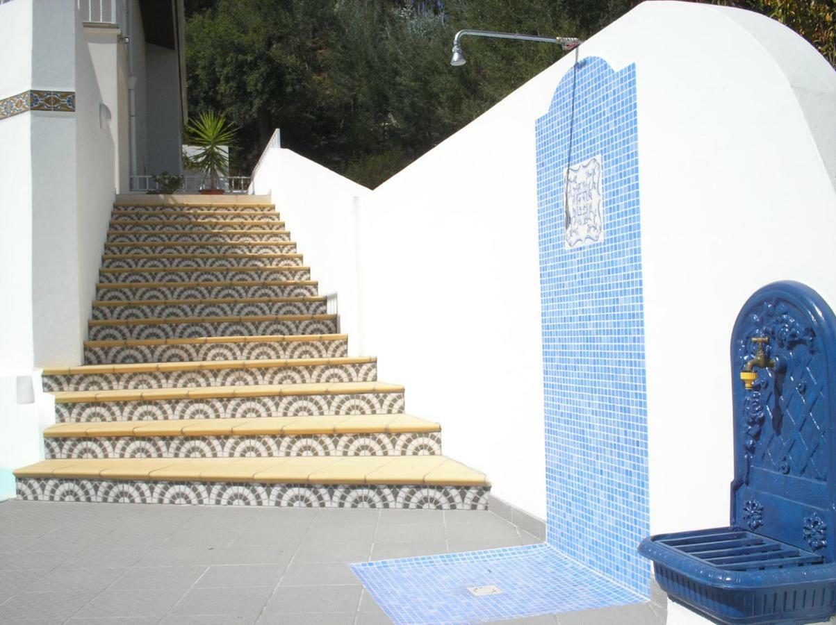 Vivenda Pirilampo Villa Vila Nova de Poiares Dış mekan fotoğraf